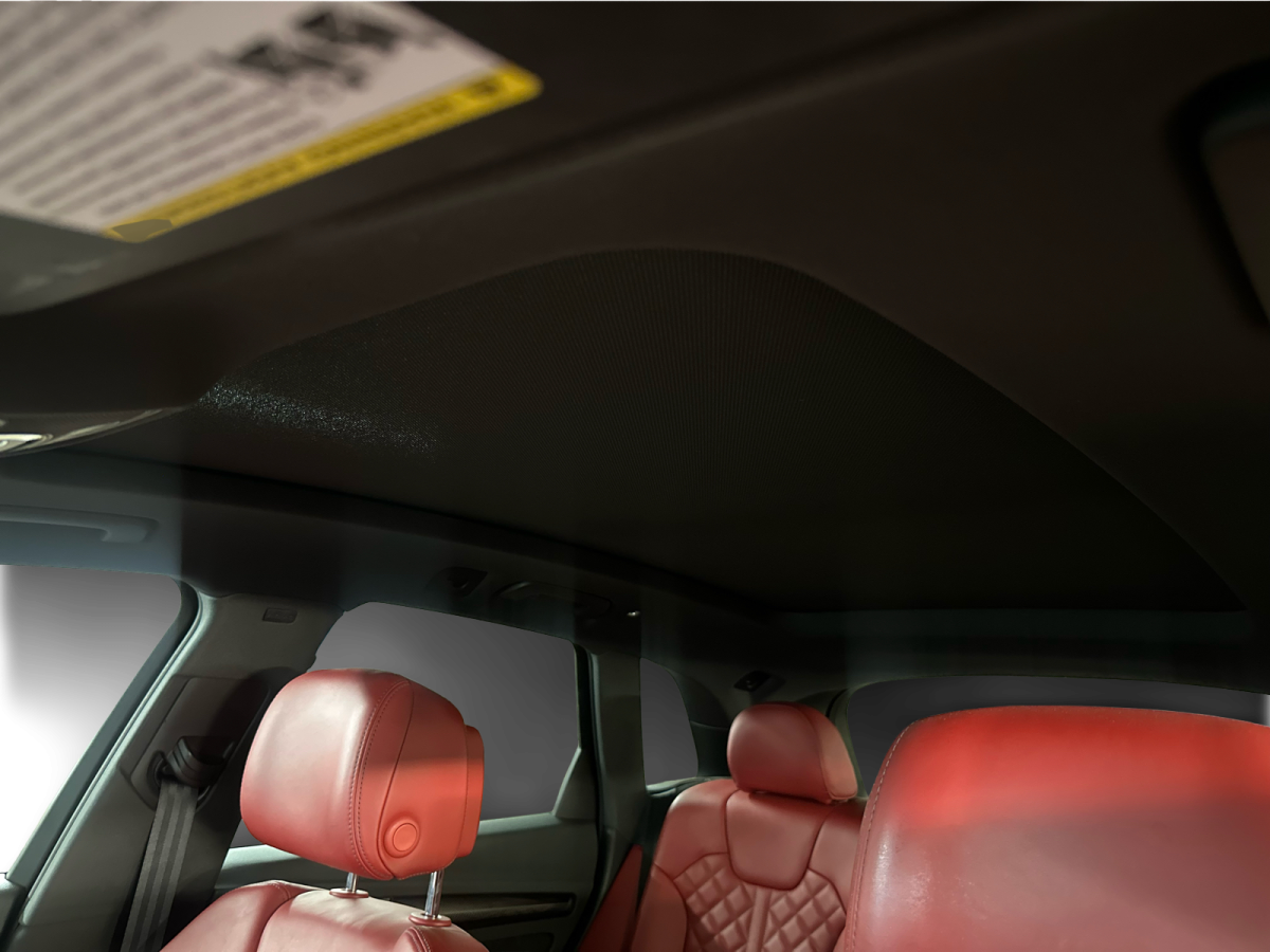 2019 Audi SQ5 - Photo 19